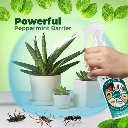 Indoor Pest Control Spray – Effective Against Cockroaches & Bedbugs, Safe & Natural